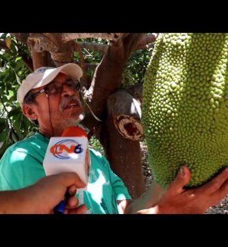 ¿Cómo se llama la fruta que sabe a todas?