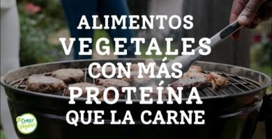 ¿Qué alimento puede sustituir a las verduras?
