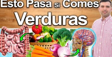 ¿Qué le pasa a mi cuerpo sí como verduras todos los días?