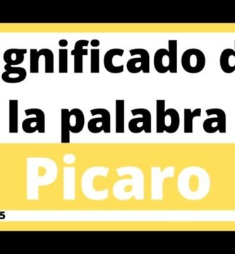 ¿Qué significa la palabra picadora?