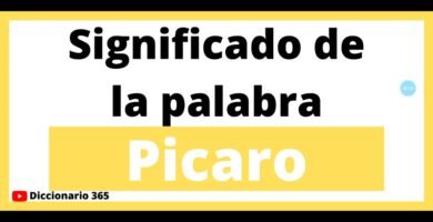 ¿Qué significa la palabra picadora?