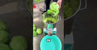 Qué hacer si los trozos quedan muy grandes en la picadora