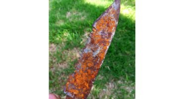 cómo limpiar la recipiente de una picadora con cuchillas dobles