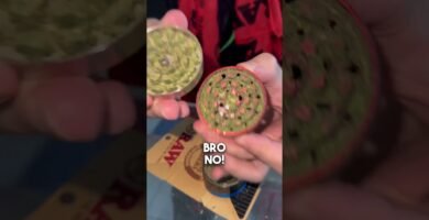 cómo limpiar la engranajes de una mini picadora