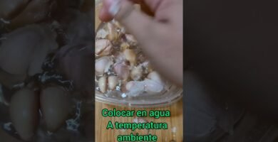 cómo picar correctamente ajos sin dañar la tapa