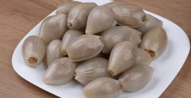 preparar platos saludables con cebollas bien trituradas sin necesidad de cuchillos