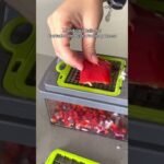 cuándo desinfectar la recipiente de una picadora multifunción