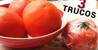 trucos para cortar rápido tomates optimizando el espacio del recipiente