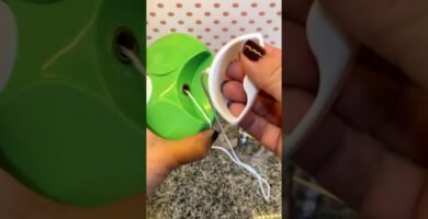 cuándo desinfectar la base de una mini picadora