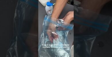 cuándo desinfectar la base de una picadora de plástico