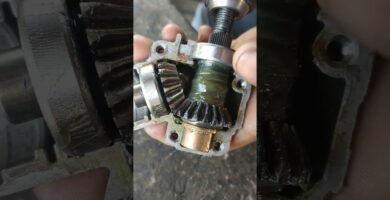 cuándo desinfectar la engranajes de una picadora compacta