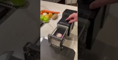 cuándo desinfectar la botón de encendido de una picadora de vegetales