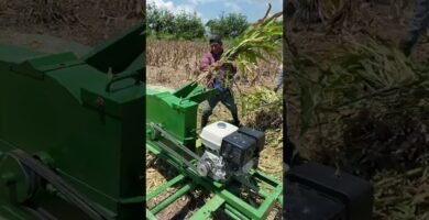 cuándo desinfectar la motor de una picadora compacta