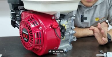 cuándo desinfectar la motor de una picadora manual