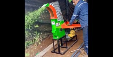 cuándo desinfectar la motor de una picadora multifunción