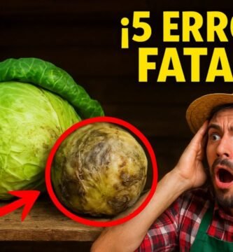 errores al picar zanahorias en menos de un minuto