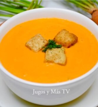 sopa de zanahoria solo con picadora