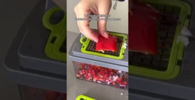 sopa de zanahoria usando picadora manual