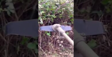 cuándo desinfectar la soporte inferior de una picadora con cuchillas dobles