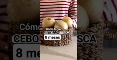 errores al picar cebollas optimizando el espacio del recipiente